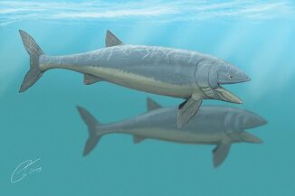 Leedsichthys 092