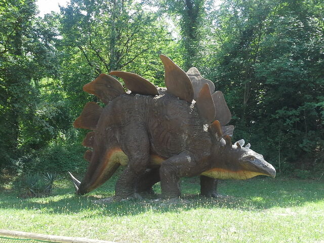 File:20130710 151359.jpg