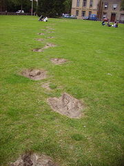 Megalosaurus footprints