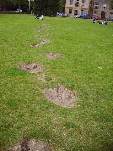 File:Megalosaurus footprints.jpg