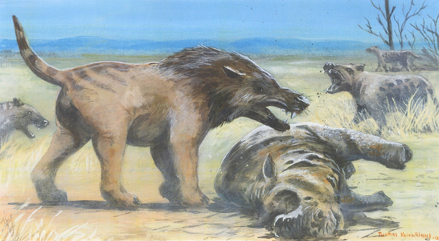 File:Image-0.png