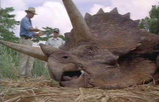 File:Triceratops jp.jpg