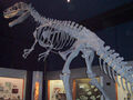 Thumbnail for version as of 18:01, November 26, 2010