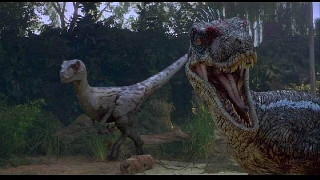 File:Deinonychus-1-.jpg