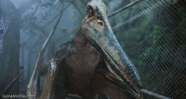 File:Jurassic3-23-1-.jpg