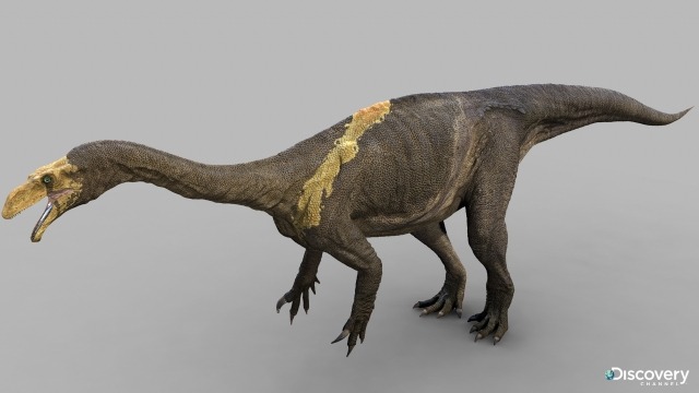 prehistoric kingdom torvosaurus