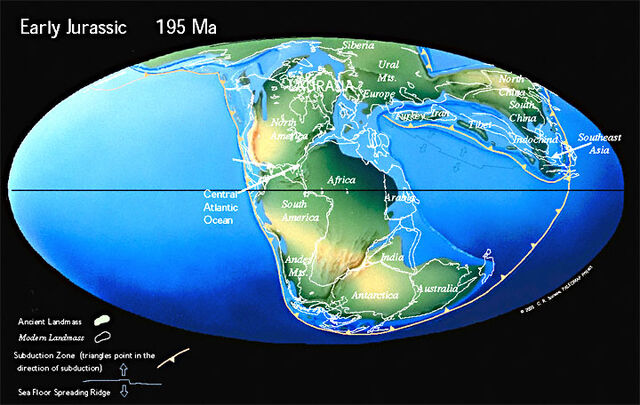 File:195-1-.jpg