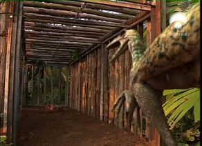 Troodon 1