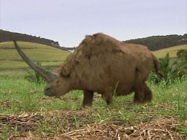 File:1x6 Elasmotherium.jpg