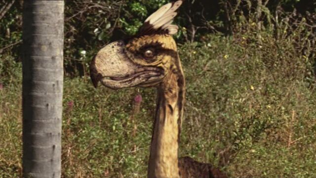 File:1x4 TerrorBirdInPleistocene.jpg