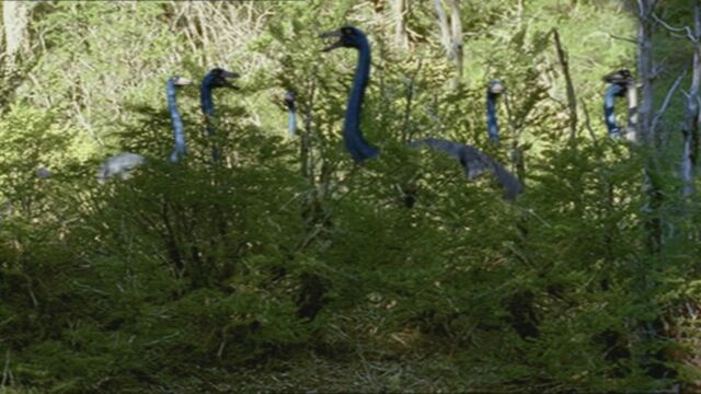 File:1x1 OrnithomimusFlockInBush.jpg