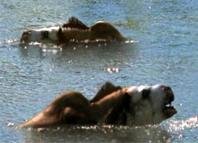 File:Toxodon.jpg