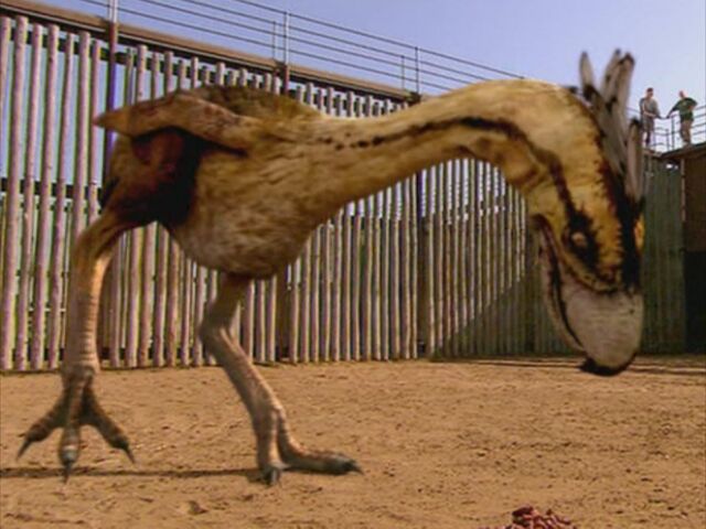 File:1x4 TerrorBird.jpg