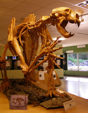 Arctodus esqueleto.jpg