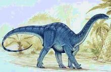 Mussaurus-0