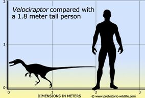Resultado de imagen de velociraptor