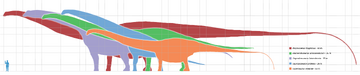 Longest dinosaurs1.png