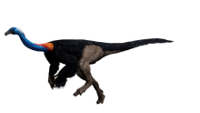 Gallimimus.png