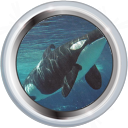 File:Badge-2122-5.png