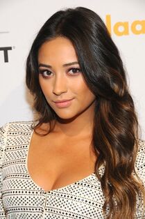 Shay 26