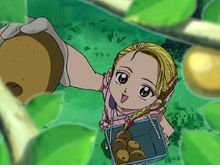 Хикари 800-22.png