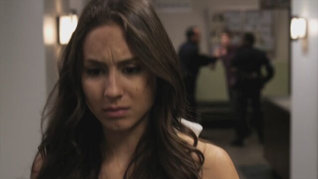 File:PLL212-00911.jpg