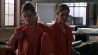 PLL 5x23 (104)