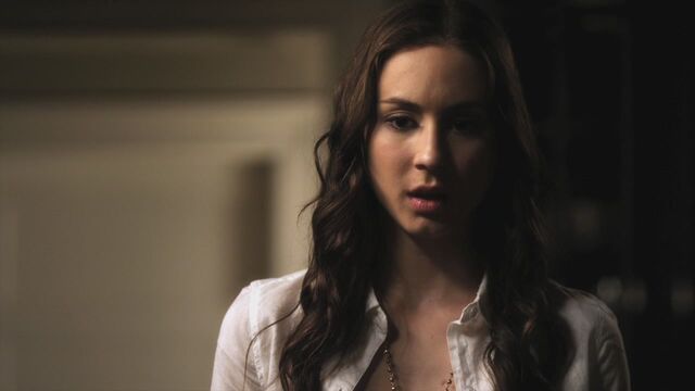 File:PLL205-0603.jpg