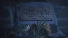 PLL117-1194.jpg
