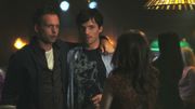 PLL105-00488.jpg