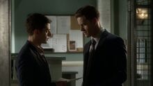 PLL304-0403.jpg
