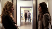 PLL208 (5).jpg