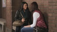 PLL121-0185.jpg