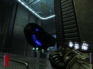 33trnsprt.jpg (34 KB) 33trnsprt