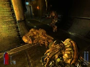 28hhooh.jpg (46 KB) 28hhooh