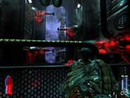 1fbfds.jpg (155 KB) 1fbfds