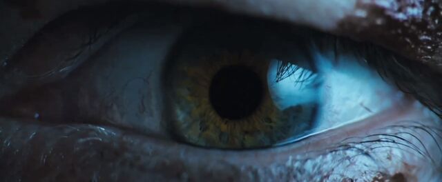 File:Priest trailer 55.jpg