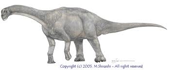 File:Camarasauruscs.jpg