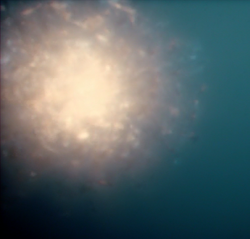 File:ExcalibosaurusAnomaly.png