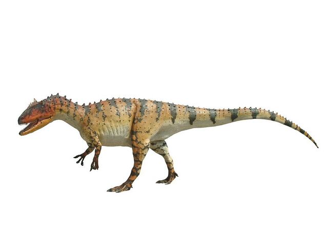 File:Allosaurus0002-1-.jpg