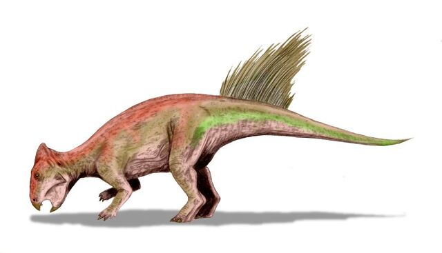 File:Liaoceratops BW.jpg