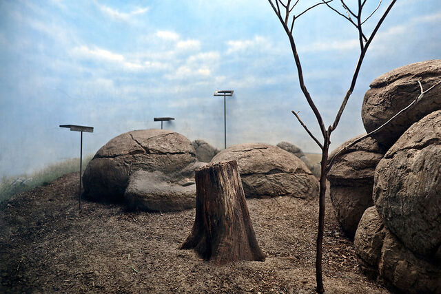 File:Rex, Sid, and Nancy's Menagerie Enclosure.jpg