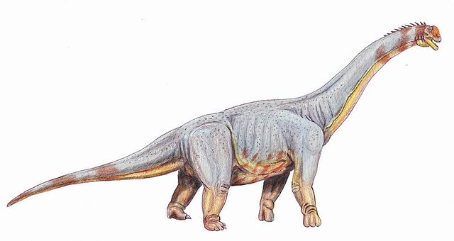File:800px-Titanosaur.jpg