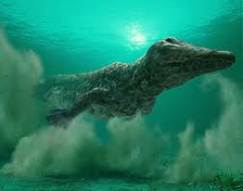 Ambulocetus