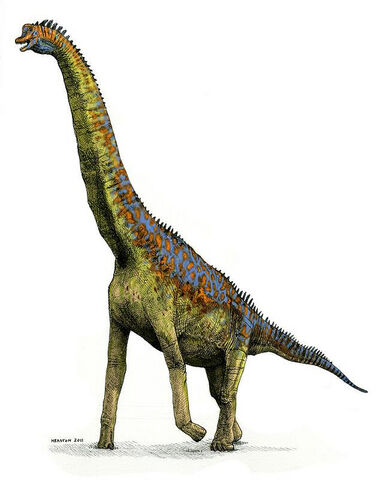 File:5640734581 82aa76d6ef z.jpg