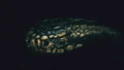Snake-1.4-1