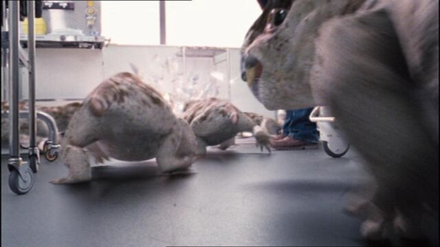 File:3x3diictodonReturningThroughAnomaly.jpg