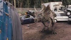 3x7 Dracorex 32
