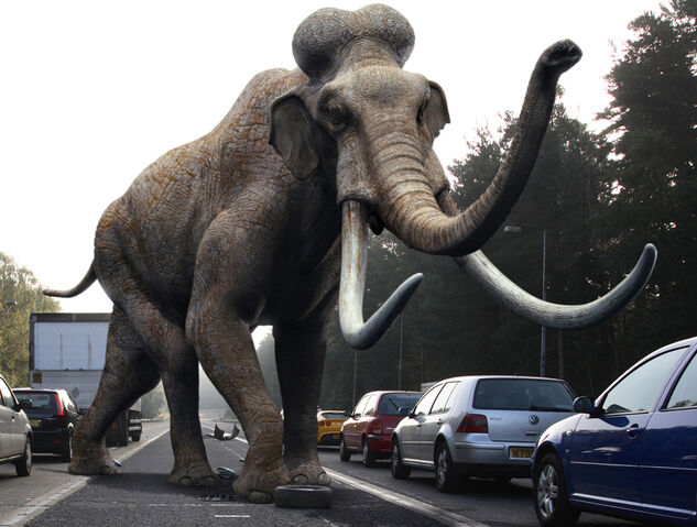 File:2x6mammothPromo.jpg