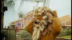 Lion Costume